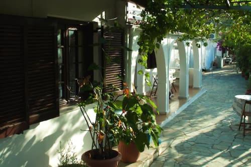 Sun&blue Gaios